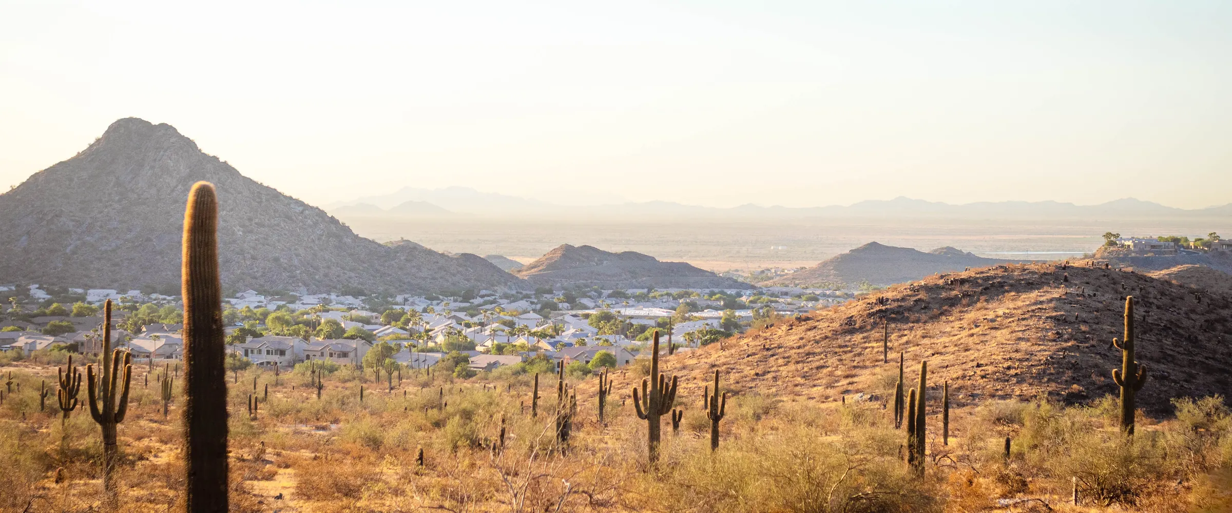 Saguaro cactus and mountains near Scottsdale, Arizona